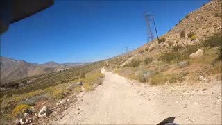 UNEXPLAINED CRYPID CAUGHT ON GOPRO!!