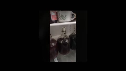 Home Brewed Mead