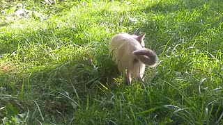 Touching grass with a friend