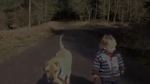 Best Friends - a kid, a dog and a puddle