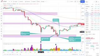 How to Trade with Price Action
