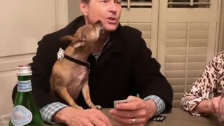 Dog Cleans Dad's Face for Comfort