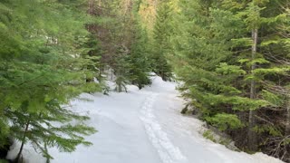 Trail Perspective of Narrowing Forest – Ochoco National Forest – Bandit Springs Sno-Park – 4K