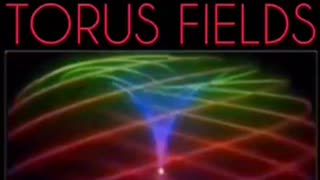 The Rupes Negra - Black Rock - North Pole - Torus Field - How Bright Is The Moon - Compilation