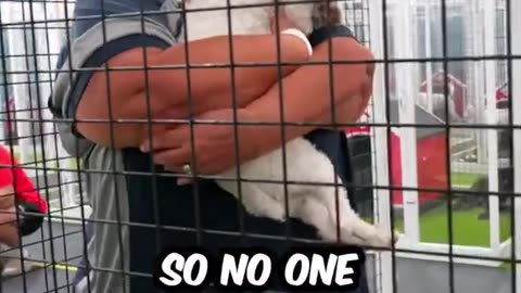 We found 100 abandoned dog's and tried to get tham all adopted I..