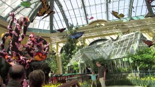 Vegas Travel Vlog: Bellagio (2011-05-08)