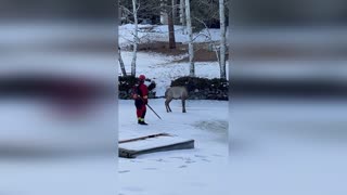 Heartwarming Footage Shows Two Firemen Rescue Elk Trapped Inside Freezing Pond In USA