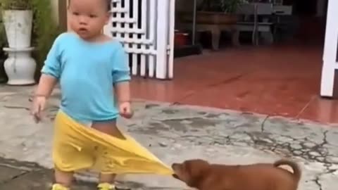 Boy and dog || funny video || 🐶 || Sujitarthod #dog