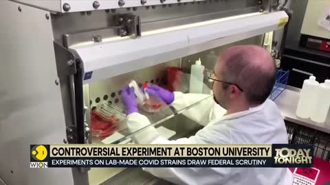 US health officials probe Boston University’s Covid virus research NIH Latest World News WION