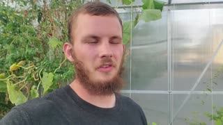 First Harvest, Follow-Up, and a Few Upgrades at the Hydroponics Greenhouse
