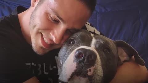 Pit Bull Adopter Can’t Bring Home Just One Pittie | The Dodo Pittie Nation
