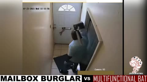 Baseball bat meets mailbox Burglar | RVFK Self-protection