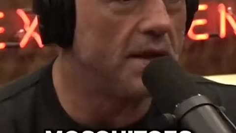 BQQQQQM JOE ROGAN ~ BILL GATES AND HIS DEADLY MOSQUITOES INJECTING THEM WITH THE VAXXES