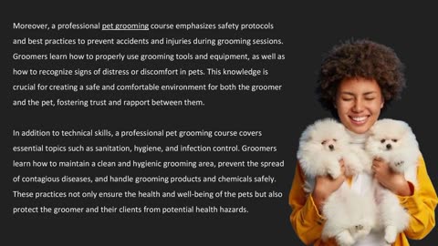 Mastering Grooming Techniques: Professional Course Singapore — The Pets Workshop