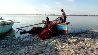 Pollution in an Egyptian lake is destroying livelihoods