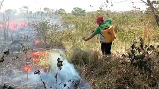 School's out as wildfire smoke chokes Bolivian city