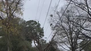 Transformer Blows Up in Norfolk Neighborhood