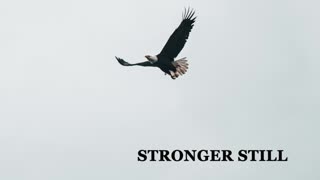 Pray USA, 1/19/23 Stronger Still