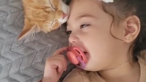 Adorable Cat playing with child