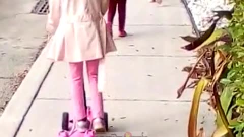 Funny Dog Walking on street #dogvideos #dogs