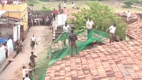 Leopard Charges at Rescue Workers in Central India