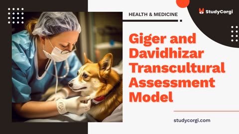 Giger and Davidhizar Transcultural Assessment Model - Essay Example