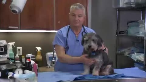 Dr Tim Crowe, DVM, explains why vets and pets love Kangen water