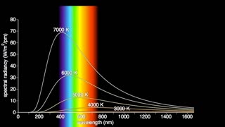 What is Wave Particle Duality?