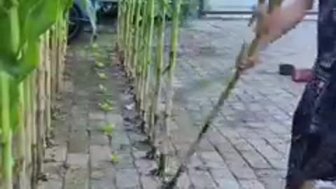 Petani yg punya kemampuan dan skil dewa part 1