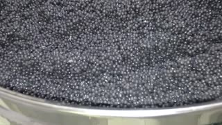 Caviar extraction in Iran .