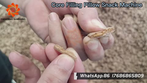 Looking for a core filling pillow snack machine? Look no further!