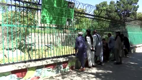 Few crowds, few women at Kabul zoo under Taliban