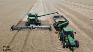 C&G Farms Wheat Harvest