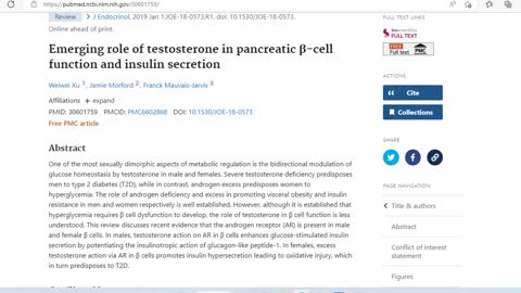 Literature Review: Sexually Dimorphic Pancreas and testosterone