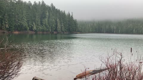 Oregon – Mount Hood National Forest – Shoreline Perspective of Lower Twin Lake – 4K