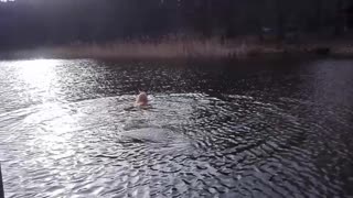 WINTER SWIM I AIR 7 °C I POLAND