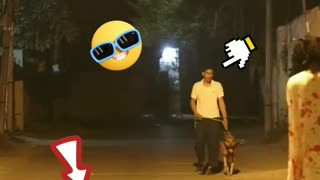 Funny videos