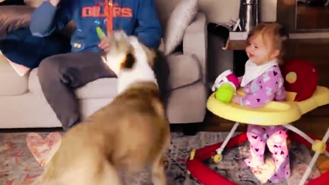 Funny Bababies Playing with Dogs Compilation Funny Baby and Pets