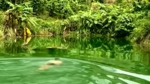 Immortal lake in Vietnam