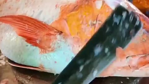 Vola Fish Cutting Techniques....