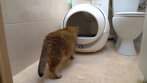 Space technologies, even humans don't have such a litter box for cats!