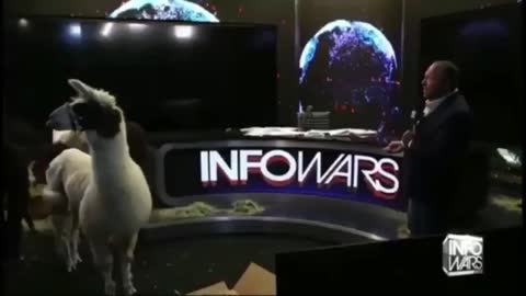 Alex Jones Ascends the Llamaverse