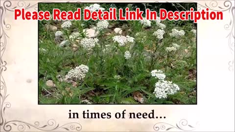 The Lost Book ways 2 book Review 2021 Great Natural Herbal medicine / Scam Alart 🚫