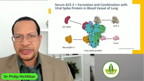 COVID Autoimmunity - Horrific Findings!