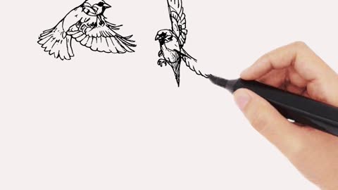 Bird Drawing Easy , Sparrow Whitehead Animation, #graphicstechs #drawing #art #graphicdesign #reels