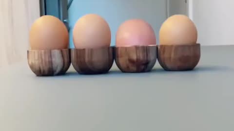 Unexpected Egg Hatch