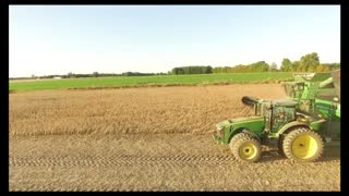 Harvesting Soybeans This Time