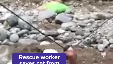 Rescue worker saves cat from floods in Pakistan