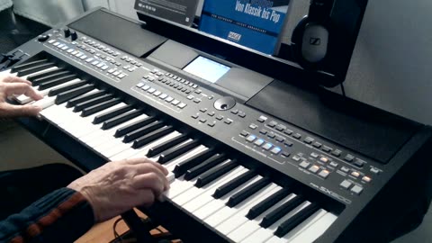 Uber den Wellen (Juventino Rosas) cover by Henry, Yamaha PSR-SX600