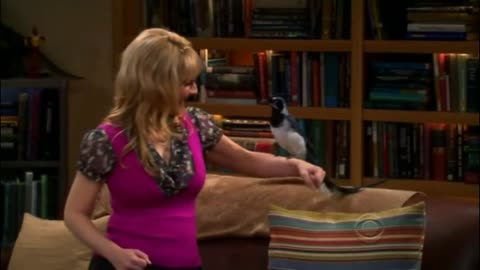 Sheldon Pats The Bird - The Big Bang Theory